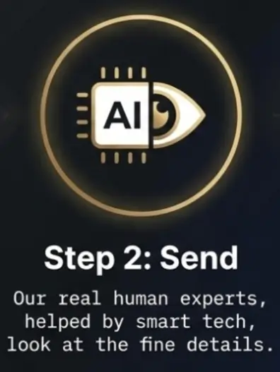 Step 2 - Send for GOLD STAR POKÉMON CARDS verification